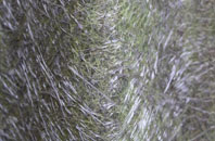 Park Mains fibreglass roof work